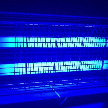 UV Lighting